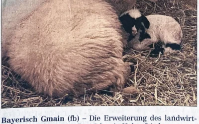 Tierischer Nachwuchs