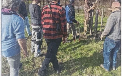 Baumschneidekurs in Hohenfried