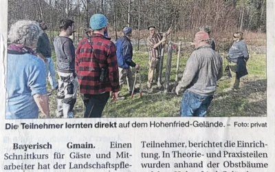 Bäume richtig stutzen