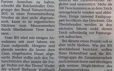 Frösche und Kröten finden Heimat bei Hohenfried